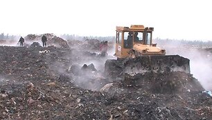 Filmas &bdquo;Stebuklų laukas&ldquo;