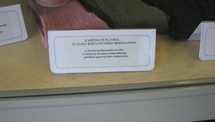 Kojinės, pasižyminčios termoreguliuojančiomis savybėmis ir palaikančios pastovią kūno temperatūrą
