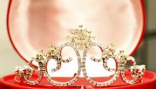 &bdquo;Misis Lietuvos 2010&ldquo; karūna