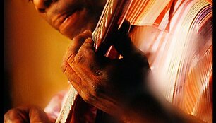 Lucky Peterson&lsquo;as