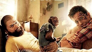 Filmas &bdquo;Pagirios Tailande&ldquo; 