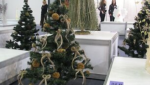 Kompozicija parodoje &bdquo;Žiemos puok&scaron;tė&ldquo;