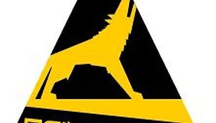 &bdquo;Dainų dainos&ldquo; logotipas