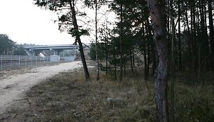 Mi&scaron;kas