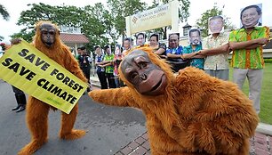 Persirengę &bdquo;Greenpeace&ldquo; aktyvistai ragina i&scaron;saugoti mi&scaron;kus.