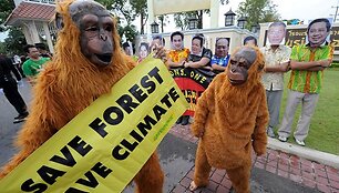Persirengę &bdquo;Greenpeace&ldquo; aktyvistai ragina i&scaron;saugoti mi&scaron;kus.