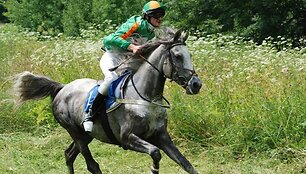 Raseiniuose Valstybės diena paminėta surengiant žirgų lenktynes-krosą.