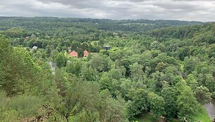 R.&Scaron;irvinsko diena &ndash; naujame amplua 