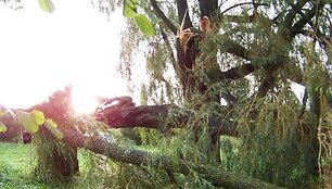 &Scaron;kvalas Kupi&scaron;kio rajone