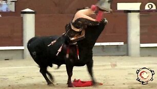 I&scaron;erzintas koridos bulius suleido abu ragus į matadorą Fernandą Cruz.