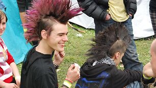 Muzikoje paskęs Molėtų aerodromas.
