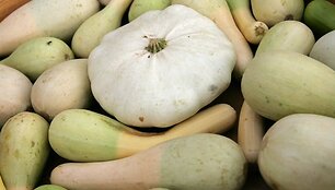 Patisonas