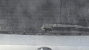 Pastebėtas automobilis
