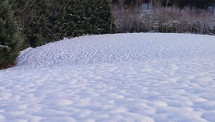 Plungės r. 2025-11-22, 9:26 val.