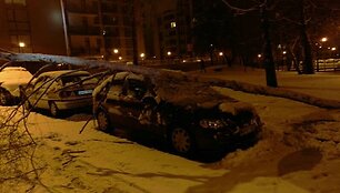 Ant automobilio užvirtęs medis