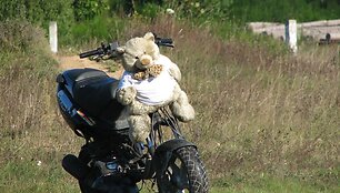 Manto transportas