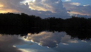 Everglades parkas, Florida