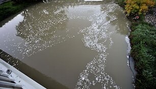 Vengrijoje i&scaron;siliejęs toksi&scaron;kas &scaron;lamas pasiekė Dunojų.