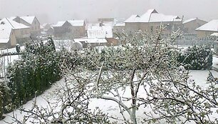Kur&scaron;ėnuose i&scaron;krito sniegas