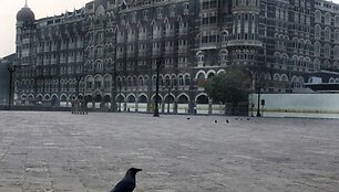 Taj Mahalas