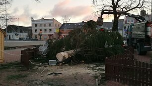 Nuvirtusi Kalėdų eglė