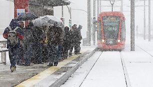 Žmonės, pasislėpę po skėčiais, laukia tramvajaus. 