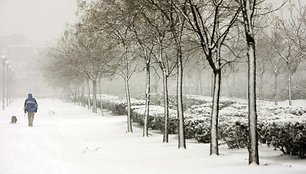 Pasivaikščiojimas su augintiniu viename iš apsnigto Madrido parkų.