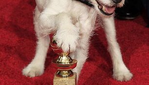 Uggie &bdquo;Auksinių gaublių&ldquo; ceremonijoje