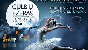 Baletas „Gulbių ežeras“ 