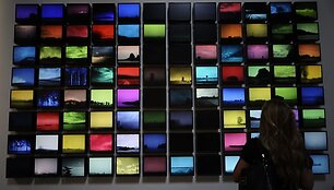 Fragmentas i&scaron; bienalės ekspozicijos