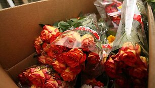 Dizaineris ir floristas Modestas Vasiliauskas sukūrė originalią suknelę.