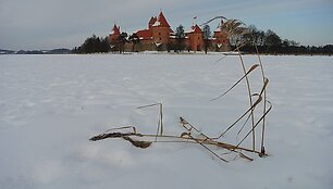 Žiema Trakuose: ledo sukaustytas Galvės ežeras ir Trakų pilis