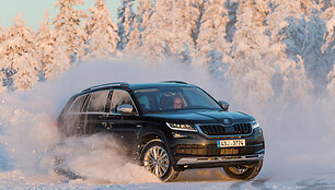 &bdquo;&Scaron;koda Kodiaq Scout&ldquo;