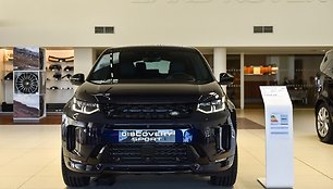 Atletiškas, intelektualus ir nebijantis purvo „Discovery Sport“