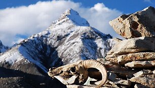 Lietuvos alpinistų ekspedicija &bdquo;Kunlun 2012&ldquo;