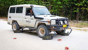 Krabus saugantis „Toyota Land Cruiser“