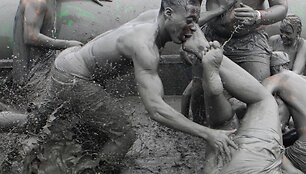 Boryeongo Purvo Festivalis (Pietų Korėja)