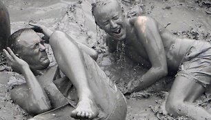 Boryeongo Purvo Festivalis (Pietų Korėja)