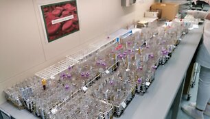 Santaros klinikų Laboratorinės medicinos centro laboratorija