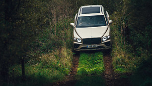 „Bentley Bentayga V8“