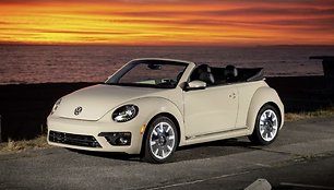 Beetle kabrioletas