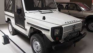 Atrodo kaip Mercedes-Benz G-Wagen? (Alf van Beem, Wikimedia)