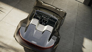Koncepcinis &bdquo;Audi skysphere&ldquo;
