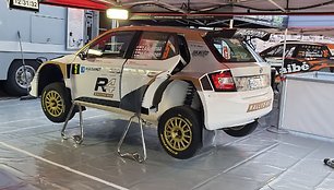 Rally Elektrėnai, serviso parkas