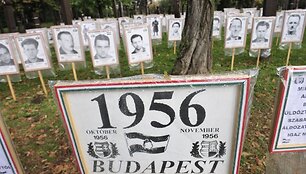 1956 m. Vengrijos okupacijos aukos