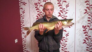 Spleen lydeka i&scaron; Tauragės raj. (2 kg)