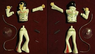 I&scaron;ardytas Wackel-Elvis. (Thomas R Machnitzki, Wikimedia(CC BY-SA 3.0)