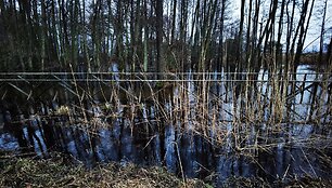 Potvynis Kur&scaron;ių nerijoje