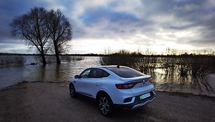 Pavasario potvynis Lietuvos Pamaryje