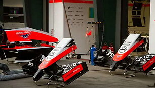 2014-ųjų Formulės 1 automobilių nosys. (J.H. Sohn, Wikimedia(CC BY 2.0)
